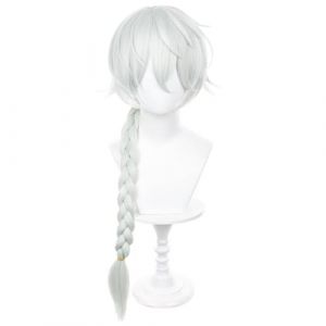 JALopy Anime Perruque Bungo Stray Dogs Nikolai Gogol Cosplay Perruque,Long Braid Silver Perruque,Halloween Perruque,pour Carnaval Noël,Quotidien Perruque (ZouPingPengQiJianZhuGongChengYouXianGongSis, neuf)