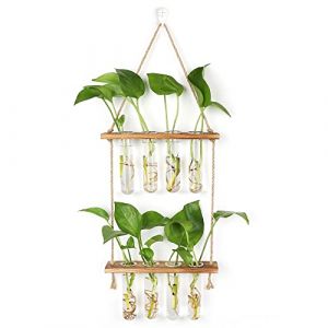 Hyindoor Station de Propagation avec Support en Bois Vase Mural avec 8 Tubes à Essai en Verre Suspendu pour Plantes Hydroponiques pour La Décoration de Bureau à La Maison (INDOOR GADEN, neuf)