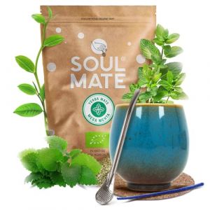 Coffret Yerba Mate Soul Mate Mega Menta 500g – Set complet avec tasse, bombilla et accessoires (MateMundo, neuf)