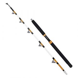 Canne à pêche 2 pièces en Eau salée pour pêche à la traîne Trolling,Fishing Rods avec Roller Guides (Blanc/ 165cm / 100-200lbs) (AIXIYIYI, neuf)