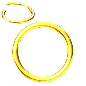 NewkeepsR Or 1.6mmx8mm Titane articul&eacute; segment clicker sans couture anneau nez cr&eacute;ole,boucle d'oreille tragus boucle d'oreille croix cartilage pour femme (NewkeepsR piercing, neuf)