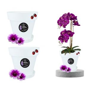 LiveLaif&reg; - 2pcs &Oslash;19 cm Pot Orchid&eacute;e Transparent Translucide | Au Choix : Taille et Unit&eacute;s | Pot Transparent Orchid&eacute;e (2, L-&Oslash;19 cm) (LiveLaif, neuf)