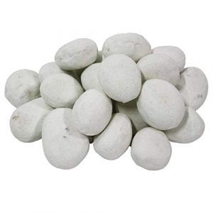 Lot de 24 galets en c&Atilde;&fnof;&copy;ramique pour foyer au bio &Atilde;&fnof;&copy;thanol et br&Atilde;&fnof;&raquo;leur au gel Blanc by La Hacienda (DF-Shopping GmbH, neuf)