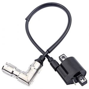 Kacepar Bobine d'allumage, bobine d'allumage adaptée pour Shineray 200CC 250CC XY200STIIE XY250STIXE XY250ST-9E ATV Quad (easyautoplus, neuf)