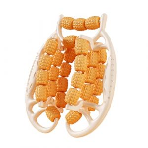 Rouleau Massage，Rouleau de jambe, rouleaux de massage à 29 roues pour les jambes, rouleau de cellulite en plastique, rouleau de masseur de cellulite non glissant pour cuisse (arancione) (Medtop Innovation Hub, neuf)