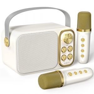 Machine de Karaok&eacute; avec 2 Micro sans Fil, Haut-Parleur Bluetooth Portable, Dispose 7 Effets Sonores, pour F&ecirc;te et Voyage，White (ChengHongLtd, neuf)