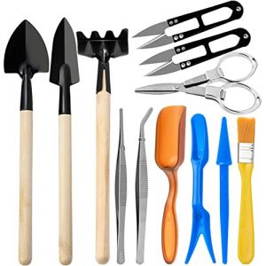 Holzsammlung D'outils de Jardinage Mini Ensemble(12 Pcs),Kit d'outils pour Bonsai, Ensemble Complet d'outils, Adapté à la Plantation en Intérieur ou en Pot (TeencentsMallEU, neuf)