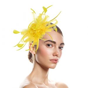 Chapeau bibi pour femme - Accessoire de cheveux - Voile avec voile - Bandeau en maille - Clip - Plume - Fleur - Chapeau en maille - Pour mariage, fête, église (mmin16999, neuf)