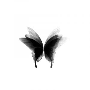 2 pièces autocollant de tatouage temporaire imperméable papillon faux tatouage jambe bras Art temporaire papillon autocollant de tatouage (CAOHCTTDDHJ, neuf)