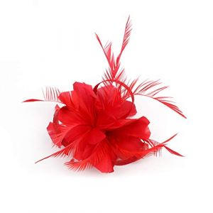 Bibi à cheveux pour invités de mariage, chapeau bibi en maille fleurie pour mariage et courses, bibi à plumes rétro tendance élégant en maille pour mariage (fhjvbt, neuf)