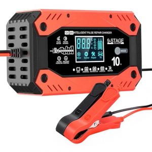 Ordriv Chargeur de Batterie Voiture 12V/24V 180W Smart 10A avec R&eacute;paration par Impulsion pour Batteries Lithium, Plomb-Acide &ndash; Chargeur de Batterie, Chargeur d'entretien Batterie Moto, Mainteneur (Ordriv, neuf)