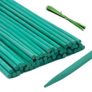 KINGLAKE 50 Pièces 60cm Tuteur Plante Support de Plantes - Piquets Plantes Résistants aux Intempéries Tuteur Tomate de Jardin pour Plantes Pois Légumes Orchidée Support,avec 50 Attaches torsadées (JH Gardening, neuf)