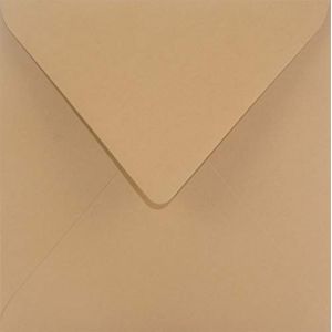 Netuno 25 enveloppes carrées brun clair 153x153mm 115g Sirio Color Bruno enveloppe colorée décorative enveloppe élégante pour lettres invitations mariage Noël cartes de voeux anniversaire fêtes (netuno, neuf)