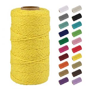 Uiopa Macrame Corde 2mm x 100m, Naturel Fil Macramé Fil de Coton Ficelle Corde, DIY Cordelette pour Tressée, Tapisserie de Plante, Tenture Murale, Cadeau Décoration, Emballage (Jaune) (XEYUAN, neuf)