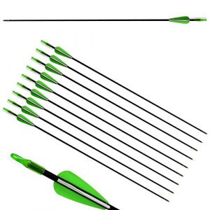 ZSHJG 12pcs Flèches en Fibre de Verre 31 Pouces Flèches d'entraînement de Cible Spine 900 Flèches de Chasse avec Flèche Carquois pour 35 Lbs Arc Recourbé Arc Long (Vert) (Traveling Shop, neuf)