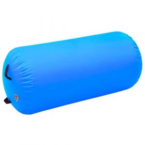 vidaXL Rouleau Gonflable de Gymnastique avec Pompe Cylindre Rouleau de Yoga Rouleau d'Entra&icirc;nement Rouleau d'Exercice 120x75 cm PVC Bleu (vidaXL FR, neuf)