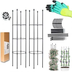 LIBRNTY 2 pi&egrave;ces Ob&eacute;lisque de Jardin,Support de Plantes de Grimpantes,Treillis Fleur Soutien de Arche de Jardin en Forme de Tour pour Le Jardin,Support de Fleur et de Plantes grimpantes (CZNDY, neuf)