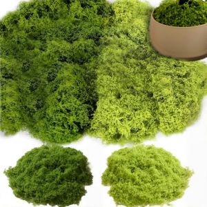 Sariputa 100g Mousse artificielle pour d&eacute;coration et bricolage, mousse artificielle vert fonc&eacute; pour bricolage pour mur, cr&egrave;che, aquarium, mod&egrave;le de cr&egrave;che, No&euml;l vert fonc&eacute; 50g + vert clair 50g (HongHuaDaHui, neuf)