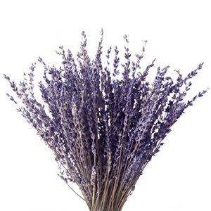Faisceaux de Lavande Naturels, Lavande SéChéEs Naturelles Fleurs Décoratives Bouquet pour la DéCoration de Maison la Décoration Intérieure Artisanat Mariage ou Toute Occasion,100g (Songjum UK, neuf)