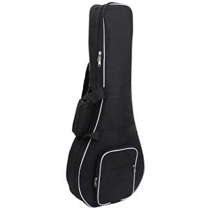 Étui à mandoline, sac à mandoline portable épaissir en tissu Oxford Double fermeture à glissière avec poches latérales Conceptions à double fermeture à glissière pour accessoires (Bijuzic-EU, neuf)