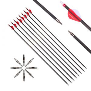 6pcs 30-Pouces 500-Spine Fl&egrave;che Pointe Amovible Fl&egrave;che de Ciblage Fl&egrave;che de Chasse Fl&egrave;che de Sport 2" Plume en Plastique Fl&egrave;ches en Carbone pour Arc Recurve Arc &agrave; Poulies Tir &agrave; l&rsquo;Arc Rouge (Old Mike's Archery Shop, neuf)