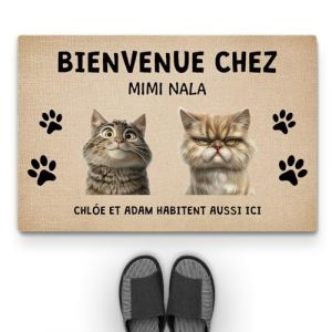 Cadeau Plus Tapis Personnalis&eacute; Pr&eacute;nom - Bienvenue chez - Paillasson Personnalis&eacute;, Paillasson Entree, Tapis personnalis&eacute; entr&eacute;e (#2) (CADEAUPLUS, neuf)