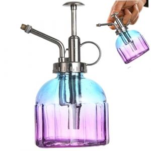 Neroyaner Brumisateur pour Plantes 200 ML Brumisateur pour orchidées Vintage avec Pompe supérieure en Bronze Vaporisateur pour Plantes Vaporisateur Facile à Nettoyer pour Maison Succulente Style 2 (JianShiXianDACHUNSHANGMAOYouXianGongSi, neuf)