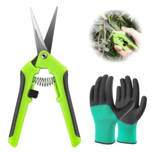 S&eacute;cateur De Jardin, S&eacute;cateur de Jardinage &agrave; Main pour Bonsa&iuml;, S&eacute;cateur Ciseaux de Jardin, Secateur de Jardin, Coupe Branche, avec Gants de Jardinage, pour tailler arbustes, cl&ocirc;tures (UAB WSVLKE LT, neuf)