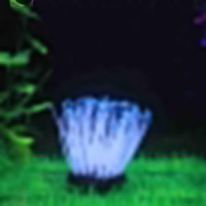 TIKATARER Anémone, Simulation d'Anémone Lumineuse Aquarium Corail Aquarium Décorations d'aménagement Paysager Aquarium Corail Décor Fausse Anémone Aquarium Paysage Fournitures (Blue) (Zaicoler, neuf)