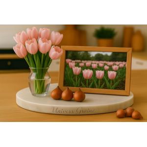 Lot de 10 Bulbes de TULIPE ROSE - Bulbe de printemps - Calibre 10/11 - Fleur Jardin - 871 (✅Abrakado✅, neuf)