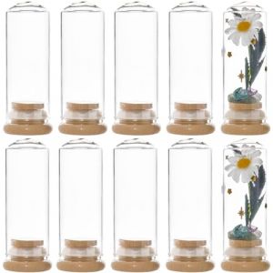 SUNNYCLUE 10 pcs Mini Cloche Dôme en Verre 30x80 mm Mini Pots en Verre avec Joint en Verre Petit Dôme D'Affichage en Verre avec Base en Bambou Bouteilles en Verre Cloche Cloche Pot pour le Stockage de (SUNNYCLUE  FR, neuf)