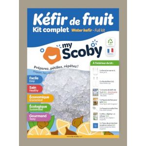 KIT kéfir de fruit BIO - Grains inclus, réutilisables et contrôlés - Pratique - Tout inclus - Notice complète illustrée (Kit complet) (Orisae, neuf)