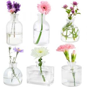 Otauoaea Lot de 6 Petits Vases en Verre, Mini Vase en Verre Vintage Vase Deko Set,Récipients à Fleurs Décoratifs avec Ficelle - pour Décorations de Table Moderne, Centres de Table (Versatile official, neuf)