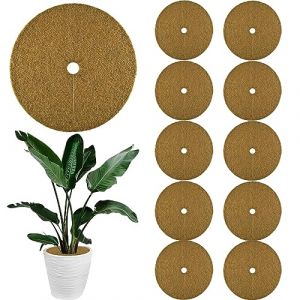 ZDQC 10 Pièces Tapis Coco Plante,Disque Coco Plante,Disque Paillage Coco,Tapis Fibre de Coco pour Plante,Disque de Paillage,Toile de Protection Exterieur Fibre de Coco (25 cm) (Heißer Weizen, neuf)