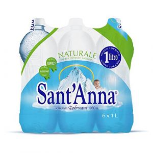 Eau Sant&rsquo;Anna, Bouteilles d&rsquo;Eau Naturelle de 1,0 litre, Eau Min&eacute;rale Naturelle en Bouteilles en Plastique 100% Recyclable, Paquet de 6 Bouteilles de 1,0 litre (Global Dream ⭐⭐⭐⭐⭐RETOURS SANS FRAIS, neuf)