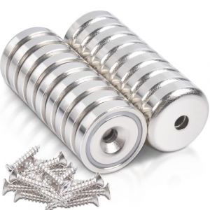18 Pièces Aimant Puissant Neodyme 10 kg Force 20 x 7 mm avec Trou et Capsule, Aimant en Pot Fraisé avec Vis, Aimant Neodyme pour Réfrigérateur, Tableaux Blancs, Bureau,Cuisine (Brand Discount Mall, neuf)