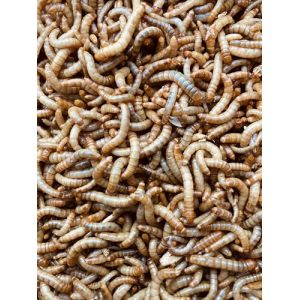 vers de Farine Vivants 170 g &ndash; 100% Fran&ccedil;ais & de qualit&eacute; Biologique &ndash;Alimentation: Oiseaux Insectivores, Poules, Volaille, Poisson et Reptiles - &eacute;levage &eacute;co-Responsable, Local et Circulaire (VERISGOOD, neuf)