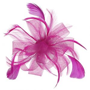 JNGUOSICN Chapeau bibi pour femme - Bandeau tendance - Plumes - Filet en maille - Pour mariage, mariage, f&ecirc;te, cocktail, th&eacute;, &eacute;glise - Accessoires pour cheveux, rose rouge, Taille unique (JINGUOSICHENG, neuf)