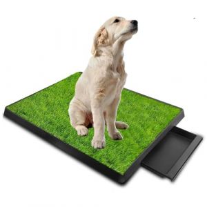 Toilette pour Chien,Tapis d'apprentissage De La Propreté avec Séparateur d'Urine,Tapis de Paille pour Chien avec Grand Plateau (64 x 51 cm),avec Plateau Extractible,Idéal pour Le Dressage des Chiens (taoxin oz, neuf)