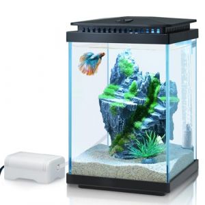 PYPABL Kit Aquarium en Verre 4L, Réservoir Betta, Kit De Démarrage pour Mini Aquarium, avec Pompe à Air, LumièRe LED, Filtration, Décoration, Changeur d'eau (Noir) (PYPABL, neuf)