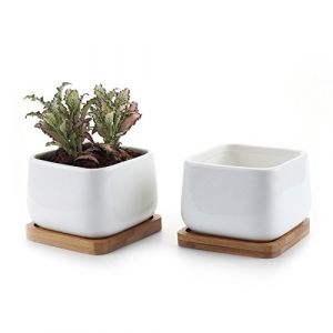 T4U Pot de Fleur Interieur Blanc Rond avec Soucoupe, Cache Pot ceramique pour Cactus, Lot de 2, pour Usage d&eacute;di&eacute; aux Amateurs de Plantes, d&eacute;coration Bureau, &eacute;tag&egrave;re et Rebord de fen&ecirc;tre (Mucihome-europe, neuf)