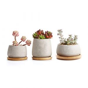 T4U Pots de Succulent Cactus en Ciment avec Plateau en Bambou Série Pots de Fleurs Jardinières Conteneurs Boîtes de Fenêtre Paquet de 3, Cadeau pour Famille Amis (Mucihome-europe, neuf)