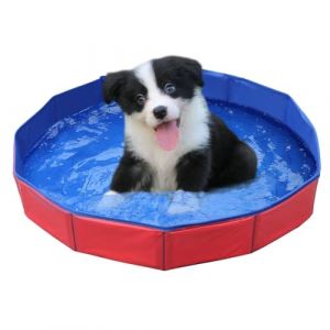 Piscine Chien Petit,50x8cm Piscine pour Animaux,PVC Piscine pour Chien,Piscine pour Chien Pliable,Pliable Piscine Baignoire pour Chien,Piscine Pliable pour Chien,Bassin de Baignade pour Chien,1 pièce (QANEASS, neuf)