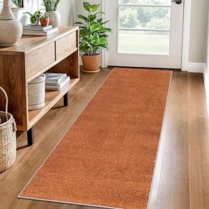 Tapis de Couloir Long Tapis de Cuisine Devant Evier Lavable Antiderapant 40 x 250 cm Tapis de Passage Couloir Paillasson Tapis Entree Interieur Tapis de Sol pour Couloir Cuisine Chambre Escalier (jintailan888, neuf)