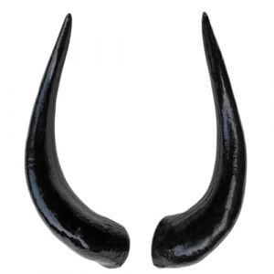 Corne de taureau fantaisie - Outil réaliste pour Halloween et cosplay (peilifushi, neuf)