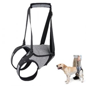 Harnais de Levage pour Dog, Aide &agrave; La Marche pour Chien, Harness pour Chien Handicap&eacute;, Harnais Soutien pour Pattes Arri&egrave;re, pour Chiens &Acirc;g&eacute;s, Handicap&eacute;s Et &agrave; Mobilit&eacute; R&eacute;duite (M) (Wjyvrvr, neuf)
