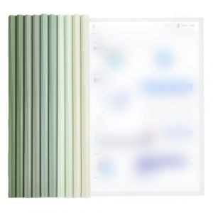 PYEUIFT 10 Pièces A4 Couverture De Rapport,Transparent Barre Coulissante Rapport Couvre,10 Feuilles Plastique Chemise De Couvertures De Rapports Avec Barre Coulissante,Dossier Coulissante(Vert (tulan4820208, neuf)
