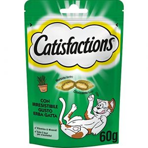 Catisfactions, Snack pour Chat, avec Herbe &agrave; Chat Irr&eacute;sistible, 6 Paquets de 60g, Vert, 60 g (Paquet de 6) (Barakaldo Vet Shop, neuf)