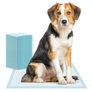 200x ARNOMED Tapis pour chiots, accessoires pour chiots en 60x90cm, accessoires pour chiens de petite taille, tapis pour chiots absorbant à usage unique, tapis pipi pour chiens à 5 couches, Puppy Pads (arnowa, neuf)