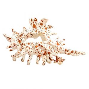 Barrette &agrave; cheveux en coquillage - Accessoire de cheveux pour fille - &Eacute;l&eacute;gante barrette en coquillage pour femme - Pour le sport, la vie quotidienne, les loisirs, les mariages et les f&ecirc;tes (jingminc, neuf)